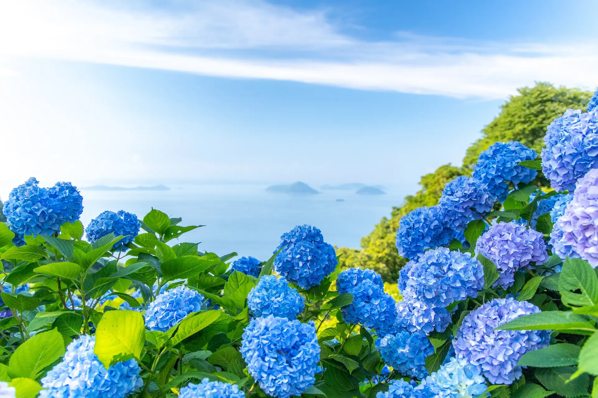 紫雲出山 | ℃（ど）