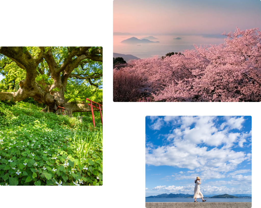 満開の桜と島影/大きな木の下の鳥居/防波堤の上を歩く女性