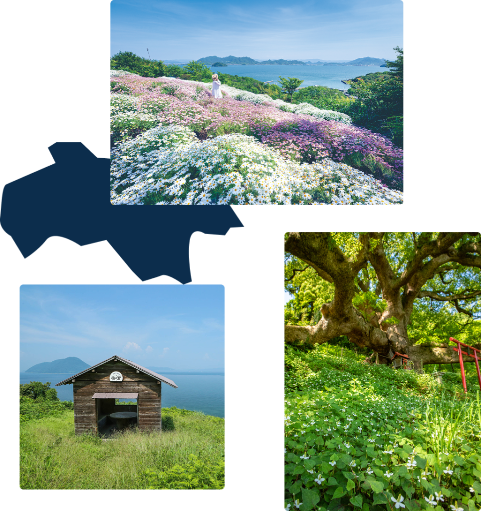 海を見渡す花畑／島影と高台の小屋／大きな木の下の鳥居