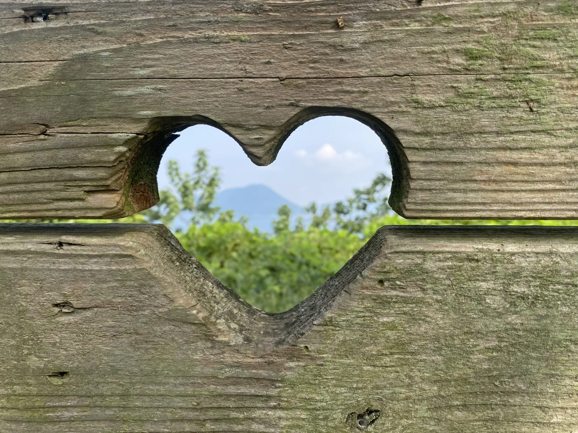 御礼！】今年も山田材木さんのベンチが届きました～ハートのベンチを